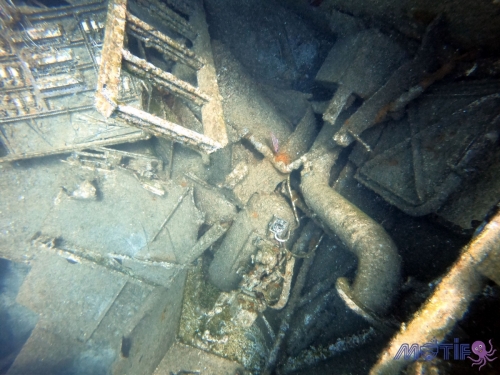 DCIM100GOPROGOPR4261.JPG