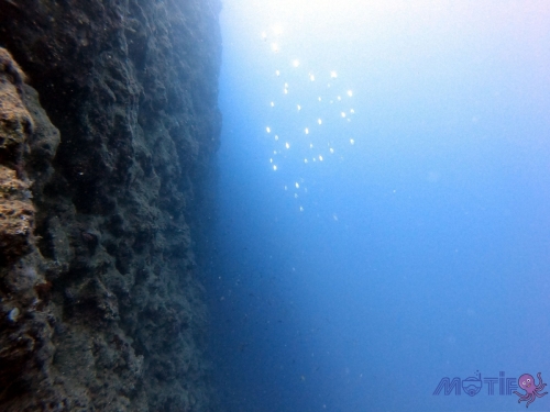 DCIM100GOPROGOPR4300.JPG
